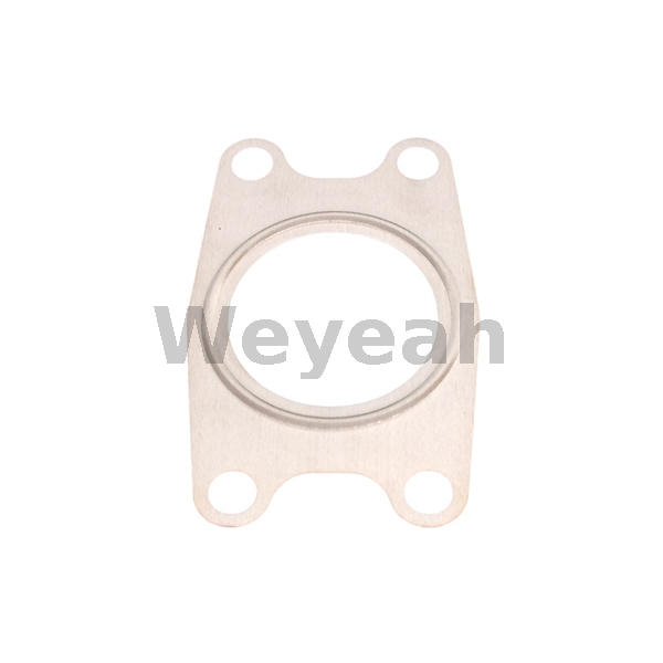 Empaquetadura en forma MWM 12344510 