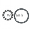 Junta de brida redonda 12140789 para motor de gas MWM TCG2020