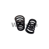 Deutz 12134406 Resorte de válvula para motor diesel MWM TBD 604B V16