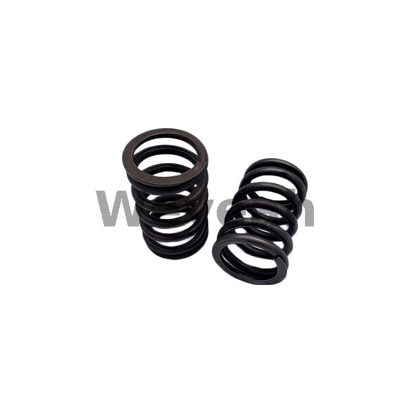 Deutz 12134406 Resorte de válvula para motor diesel MWM TBD 604B V16