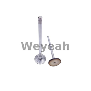 Válvula de admisión MWM 12304754 para motor de gas TBG620 TCG2020