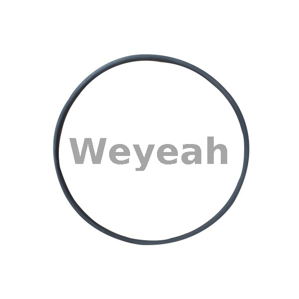 Junta tórica 238066 para motores Jenbacher tipo 6