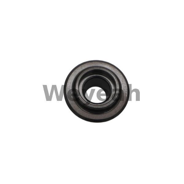 Placa de Resorte 623981 para Motores Jenbacher Tipo 4