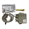 Control de Temperatura 175321 para Motores Jenbacher Tipo 4