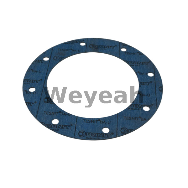 Junta MWM 12301441 para motor de gas MWM TCG2020 TBG620