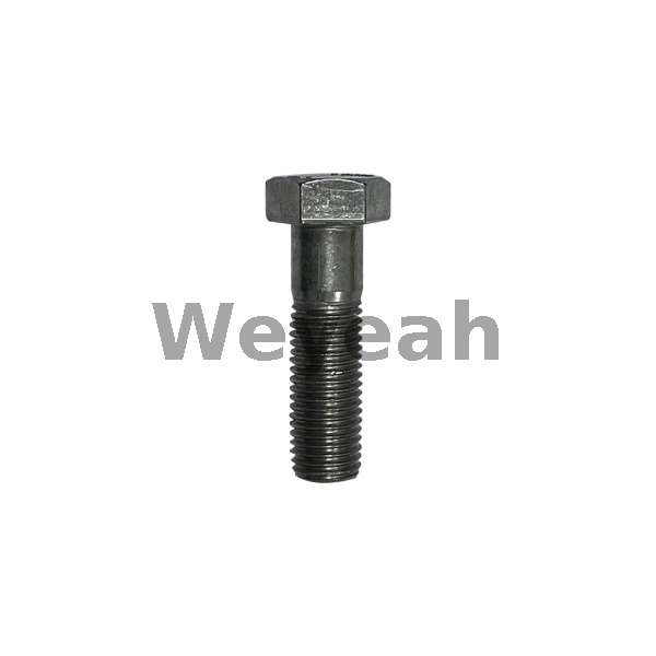 Tornillo de cabeza hexagonal 101552 para motor de gas Jenbacher