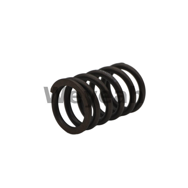 Deutz 12134406 Resorte de válvula para motor diesel MWM TBD 604B V16
