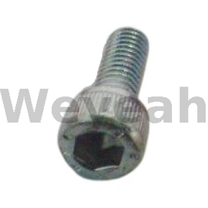 Tornillo de cilindro 101361 para motor de gas Jenbacher J420