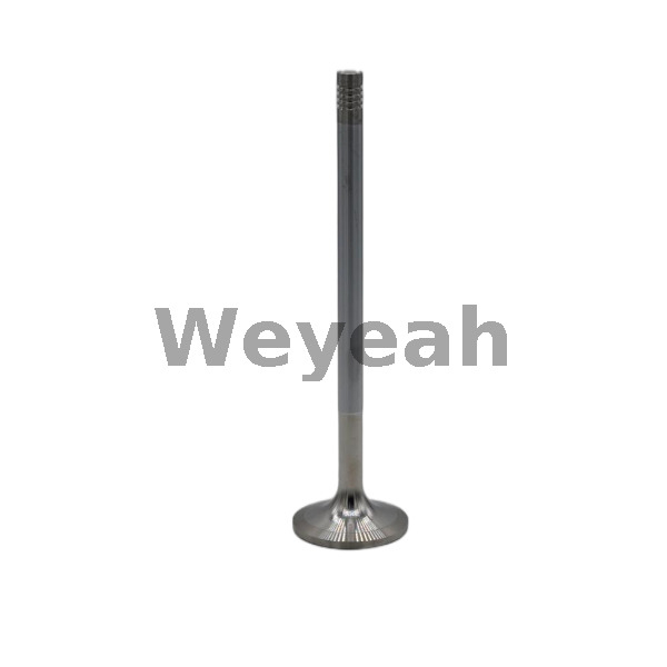 Válvula de escape 12452424 para motor de gas MWM TCG2020