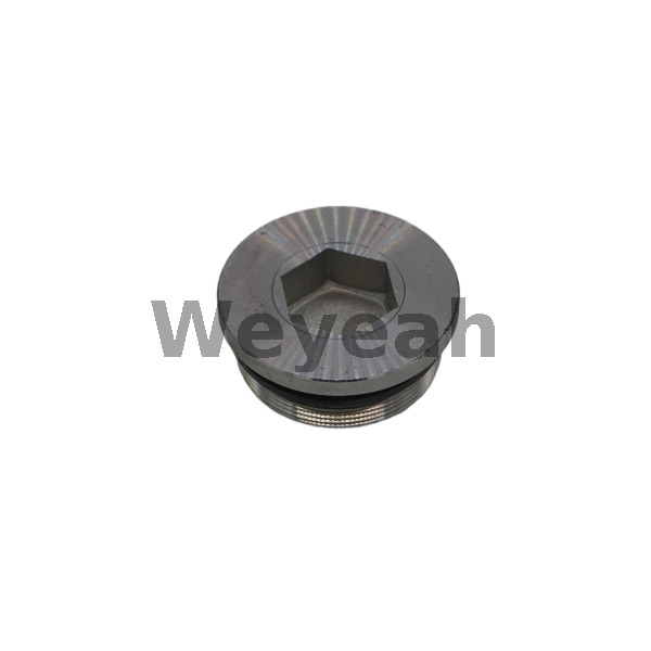 Piezas Jenbacher Tapón roscado 107613 para motor de gas Jenbacher J320