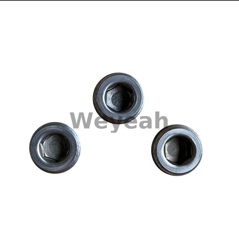 Piezas Jenbacher Tapón roscado 107613 para motor de gas Jenbacher J320