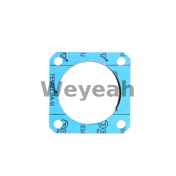 Junta MWM 01167556 para motor de gas TCG2020