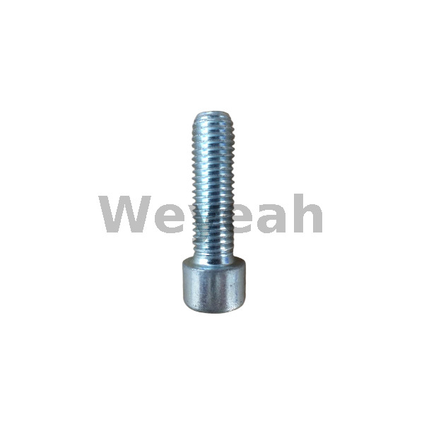 Tornillo 100214 para motor de gas Jenbacher