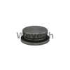 Piezas Jenbacher Tapón roscado 107613 para motor de gas Jenbacher J320