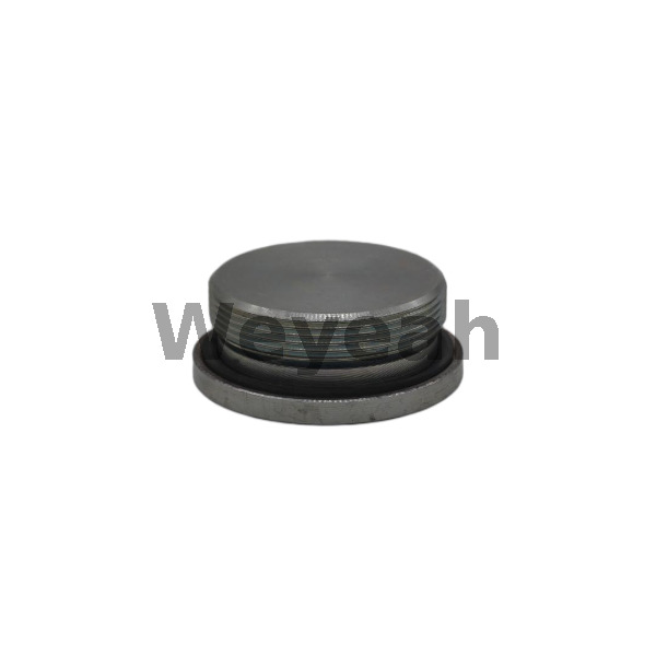 Piezas Jenbacher Tapón roscado 107613 para motor de gas Jenbacher J320