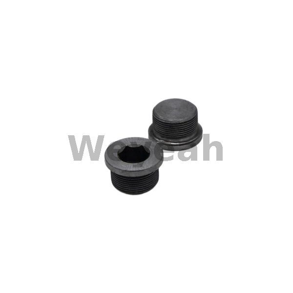 Piezas Jenbacher Tapón roscado 101165 para motor de gas Jenbacher J320