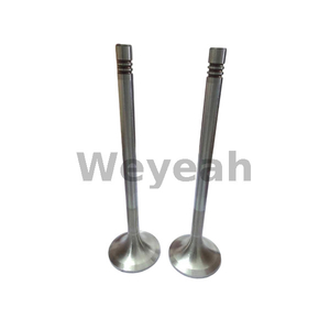 Válvula de escape 12141699 para motor de gas MWM TCG2020
