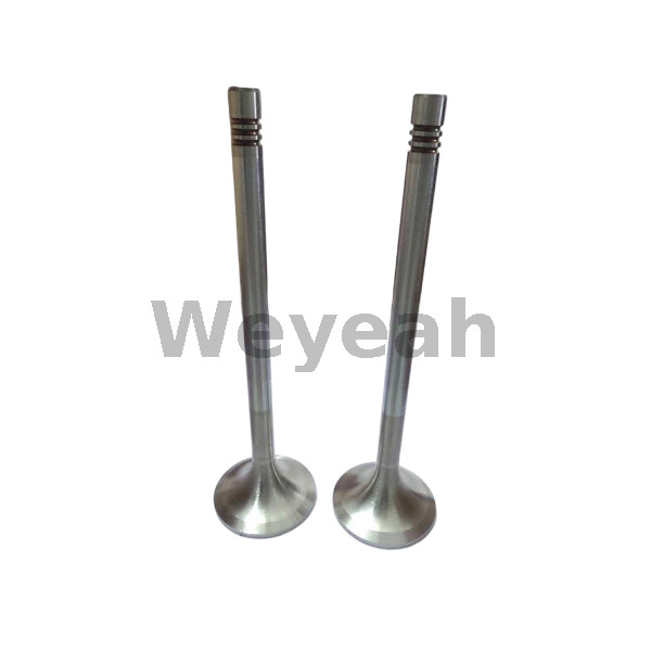 Válvula de escape 12141699 para motor de gas MWM TCG2020