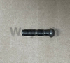 Tornillo 100653 para motor de gas Jenbacher