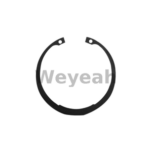 Anillo elástico 102316 para motor de gas Jenbacher J420