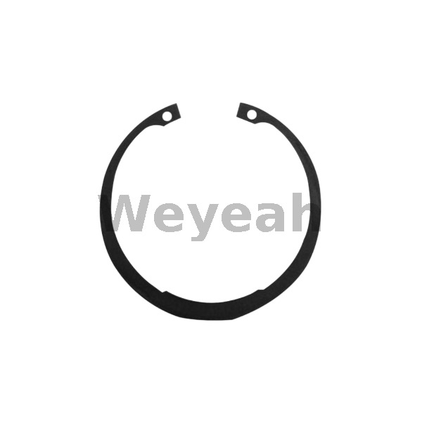 Anillo elástico 102316 para motor de gas Jenbacher J420