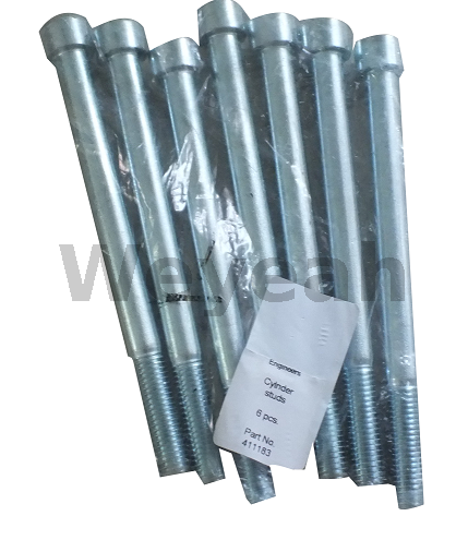 Tornillo Cilindro 411183 para Motores Jenbacher Tipo 6