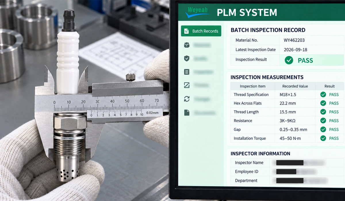 WY462203-spark-plug-PLM-inspection-record.webp